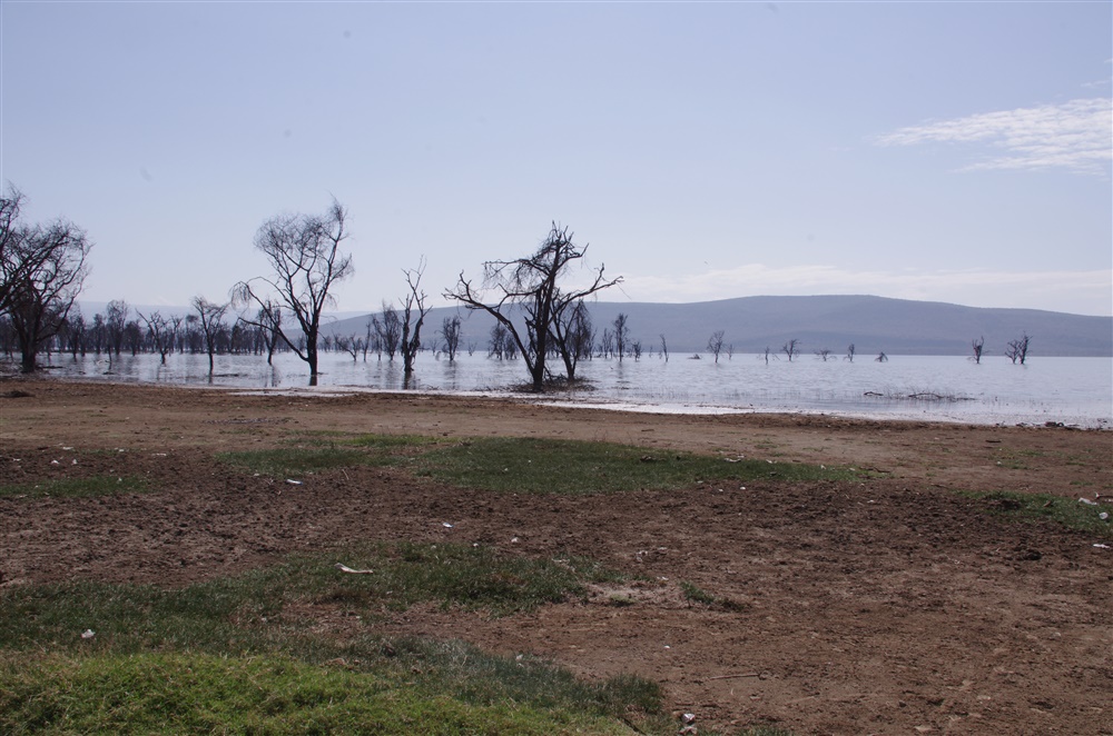 Lake Nakuru